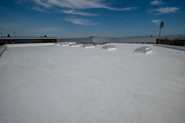 Best Steel Roofing  in Dunlap, IL
