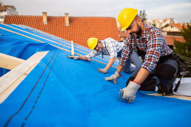 Best Roof Leak Repair  in Dunlap, IL