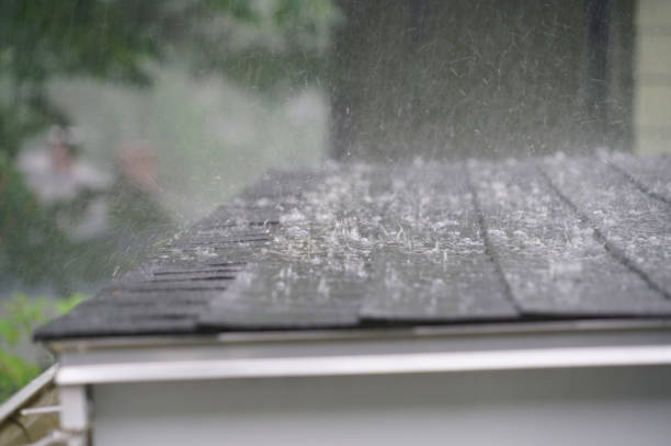  Dunlap, IL Roofing Pros