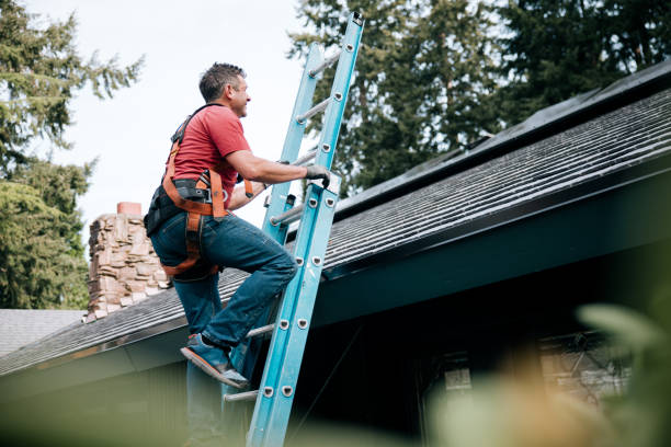 Best Metal Roofing Installation  in Dunlap, IL